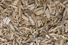 biomass boilers Cockwood